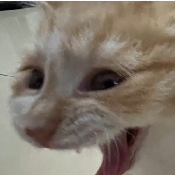 贩剑