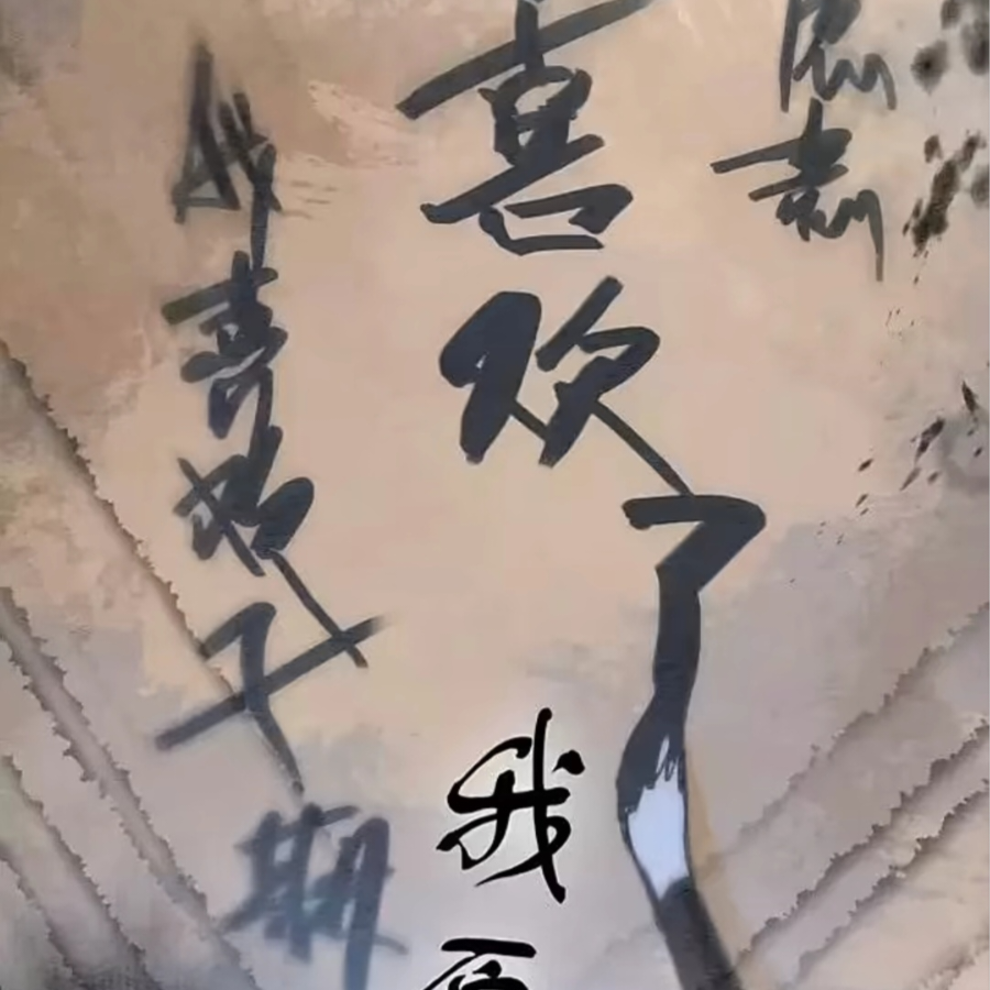 陈子豪的小粉丝