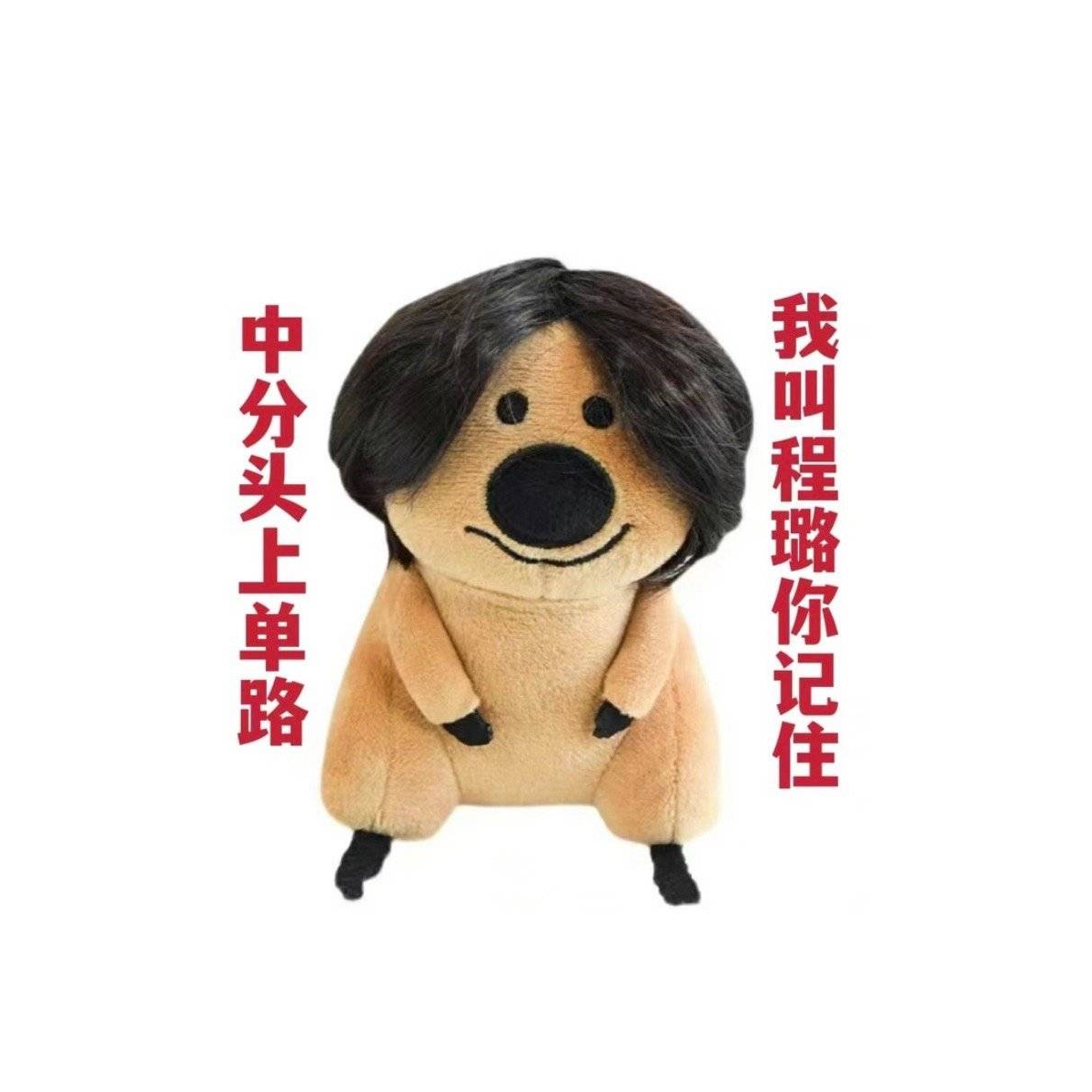 中分头上单路我叫程璐你记住
