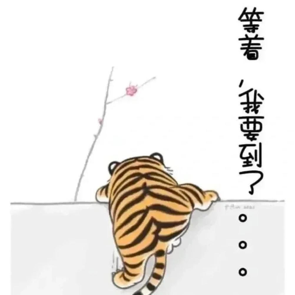 锦鲤