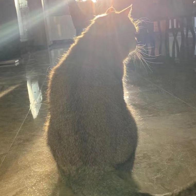 红酒味马丁尼