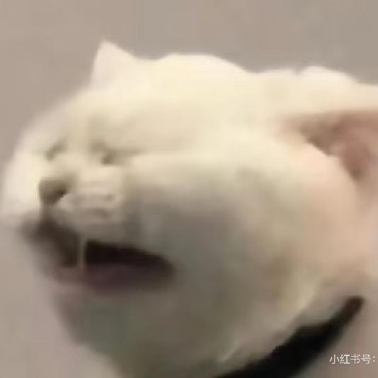 qua寺時