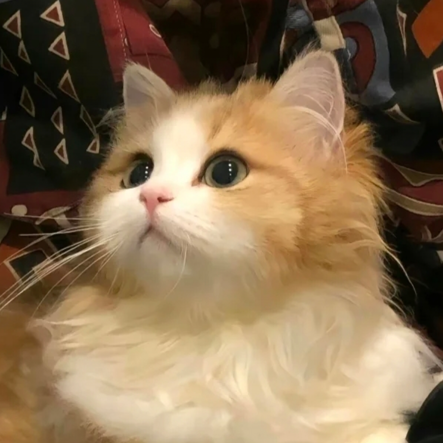 。