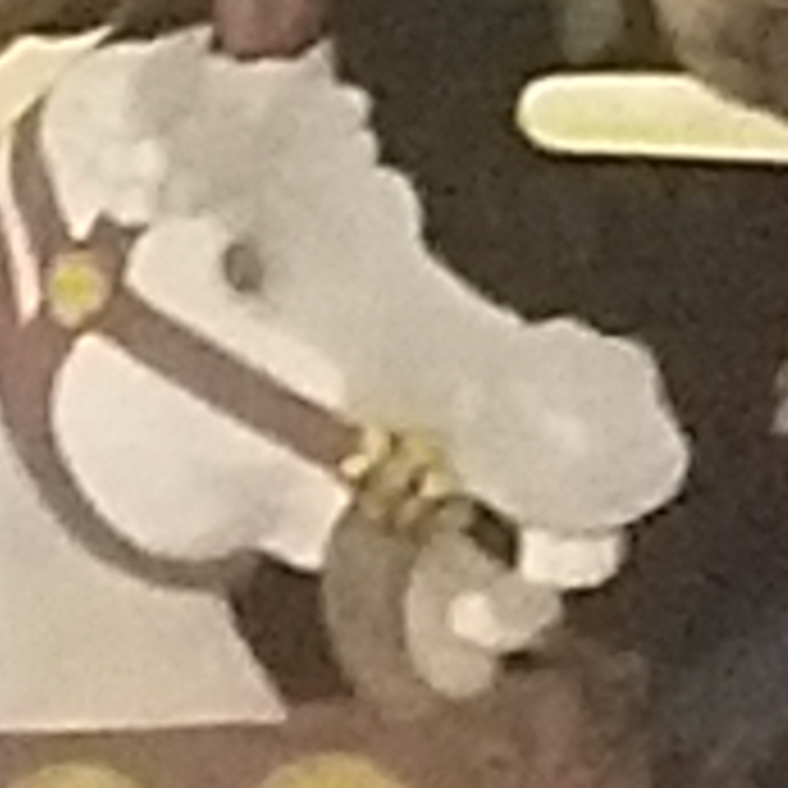 牢扥