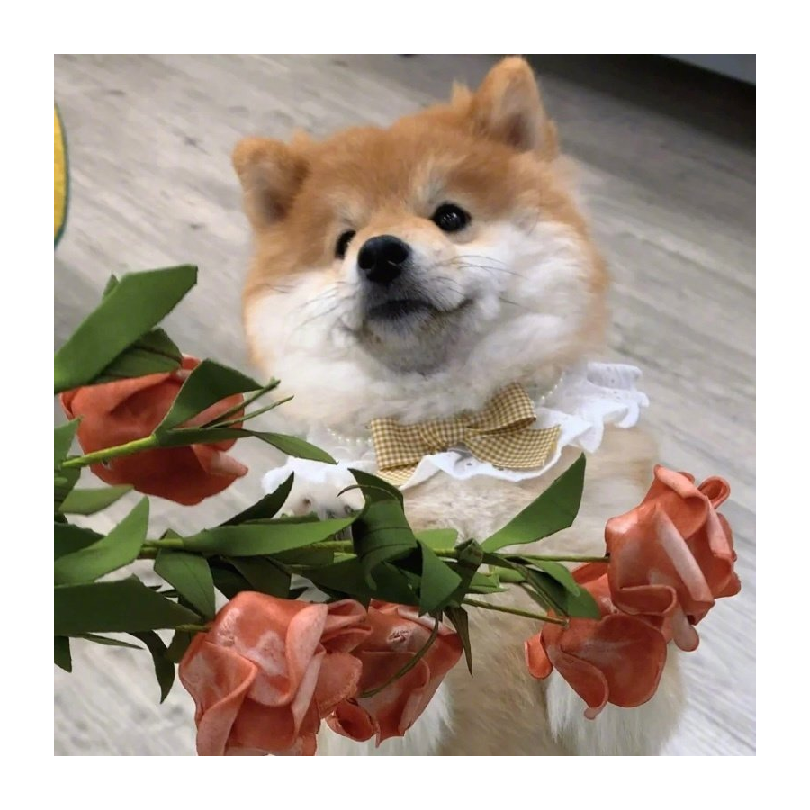 念