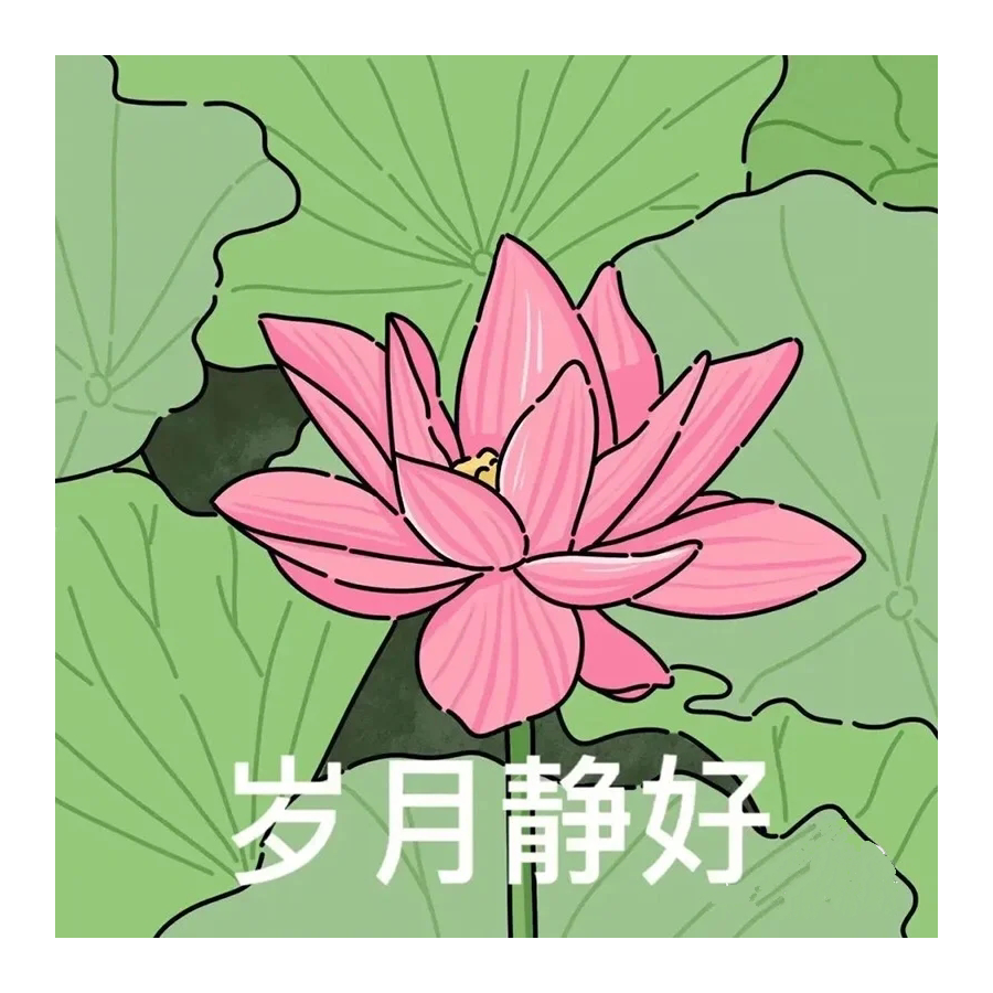 翎·雨