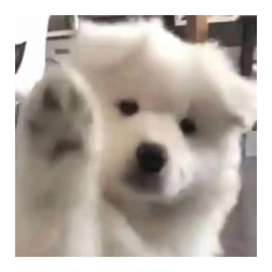 瓦西卡猫猫