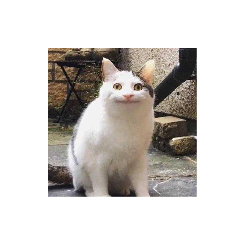 呵呵！