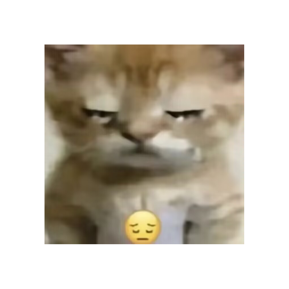 maotaoevil