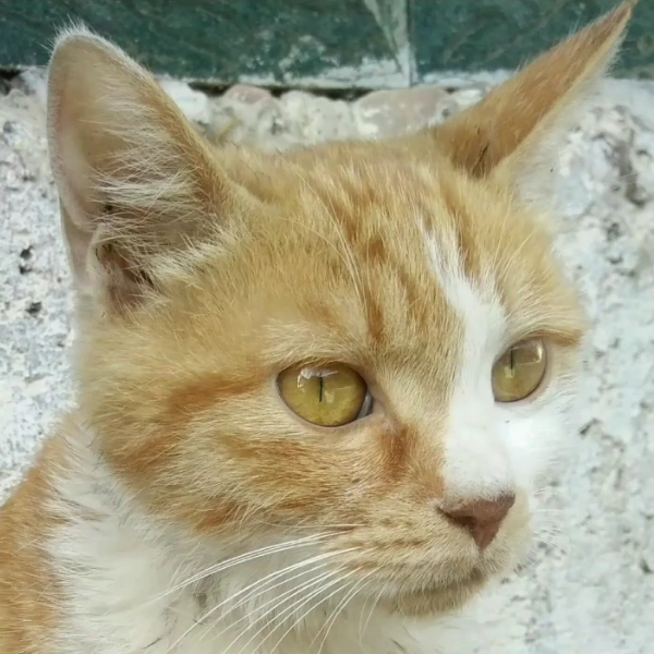 寻梦