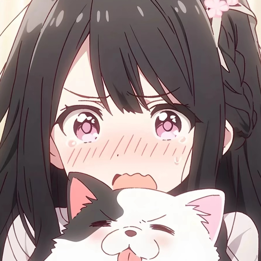 猫猫