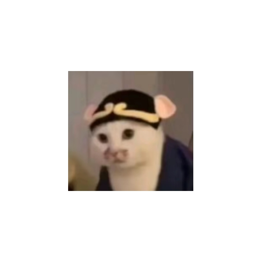 飞天大懒猪