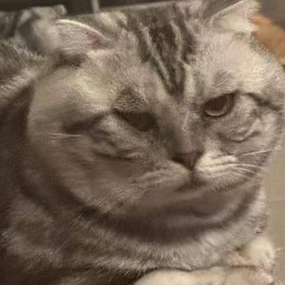 匚西西