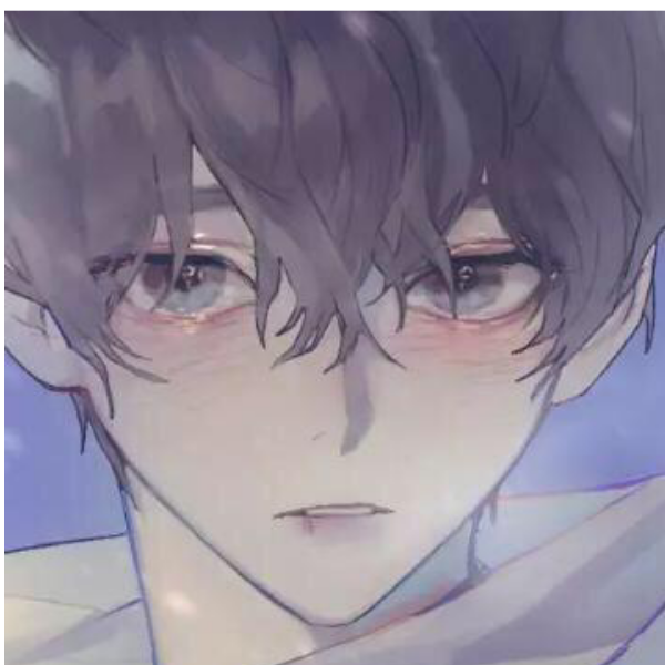 森林起雾了