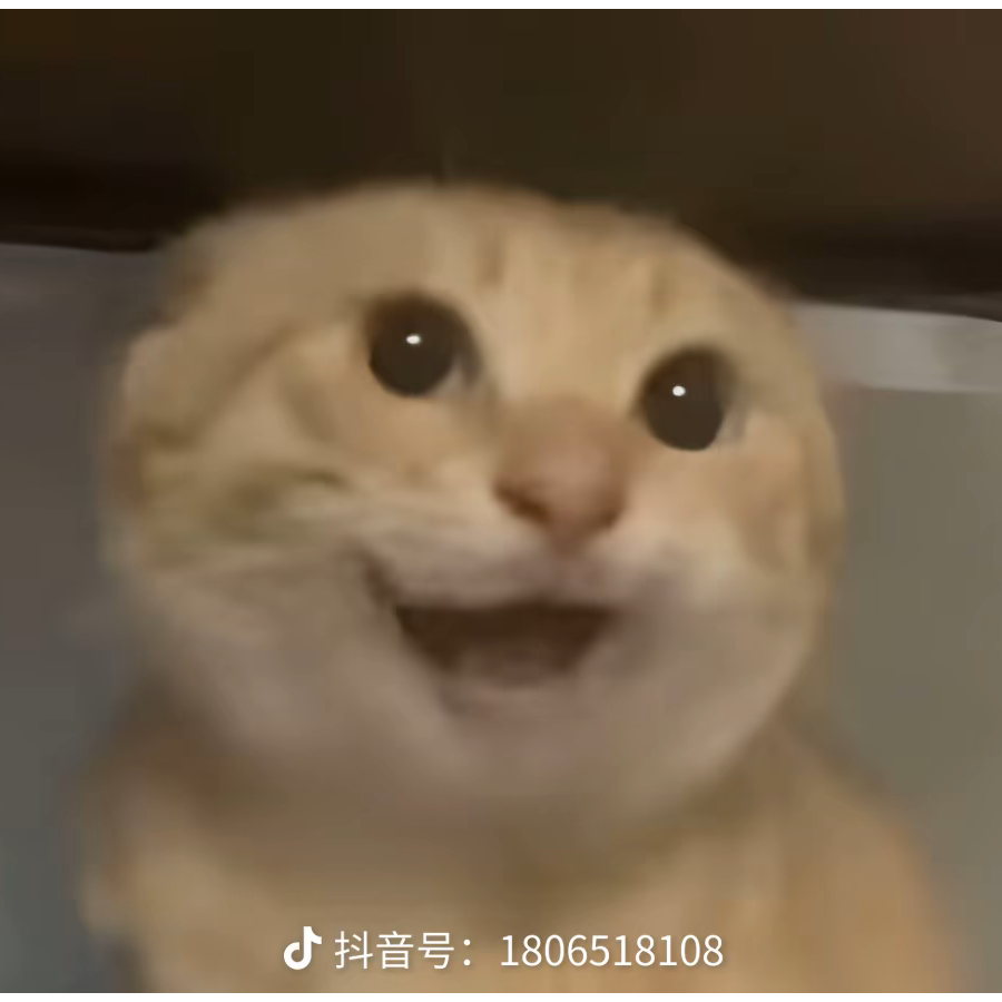 在夜里听海