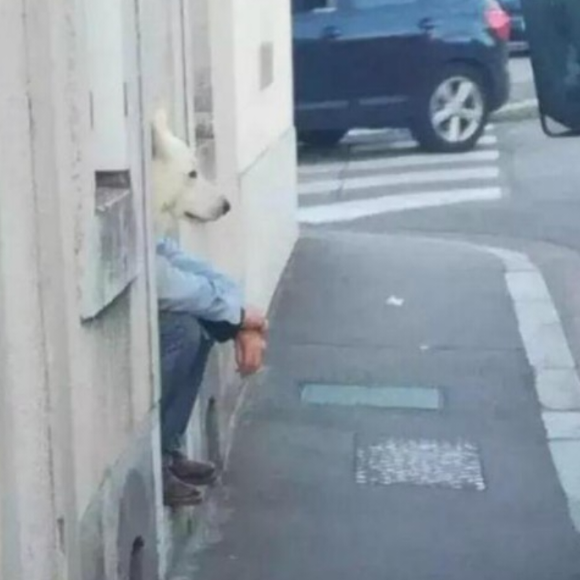 走霸罐头