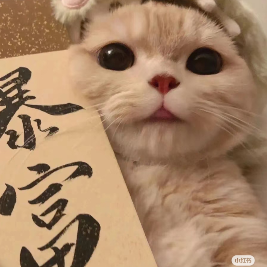 浣鸠