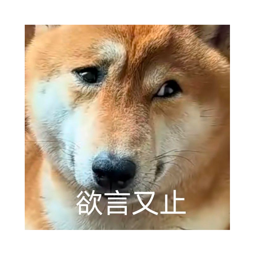 ，。?！
