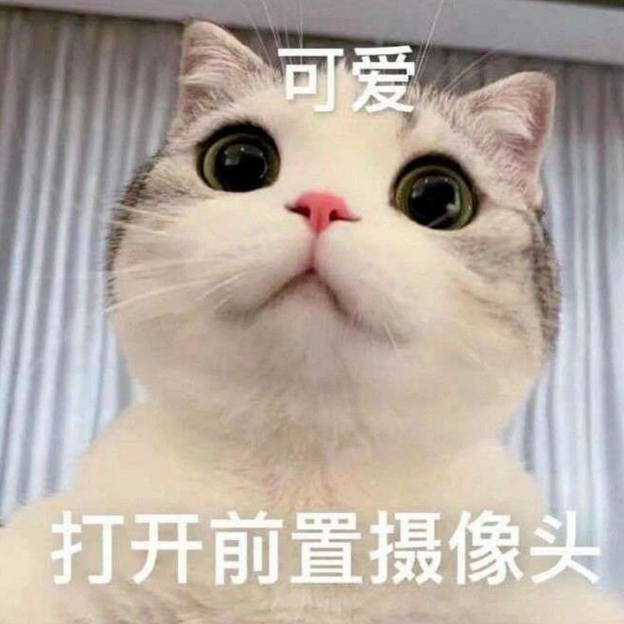 消化不了大饼