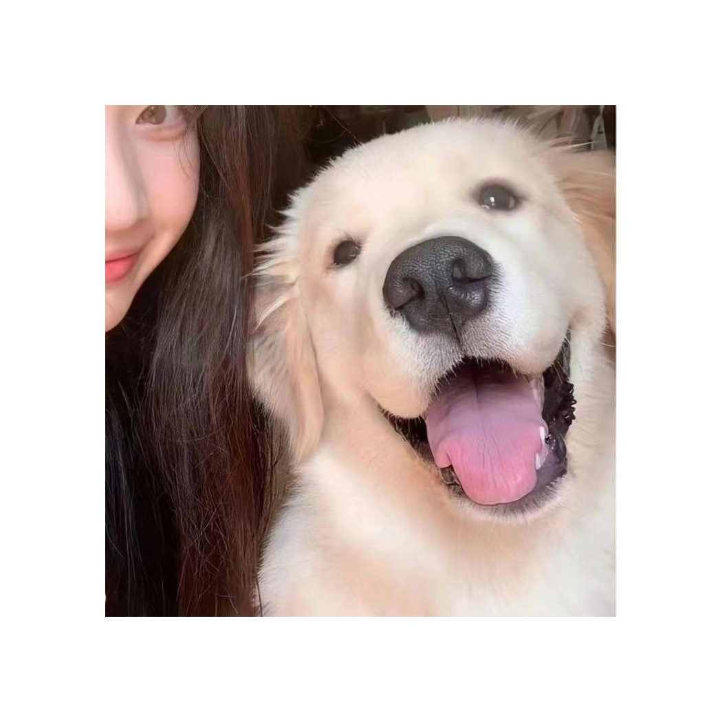 访天问安