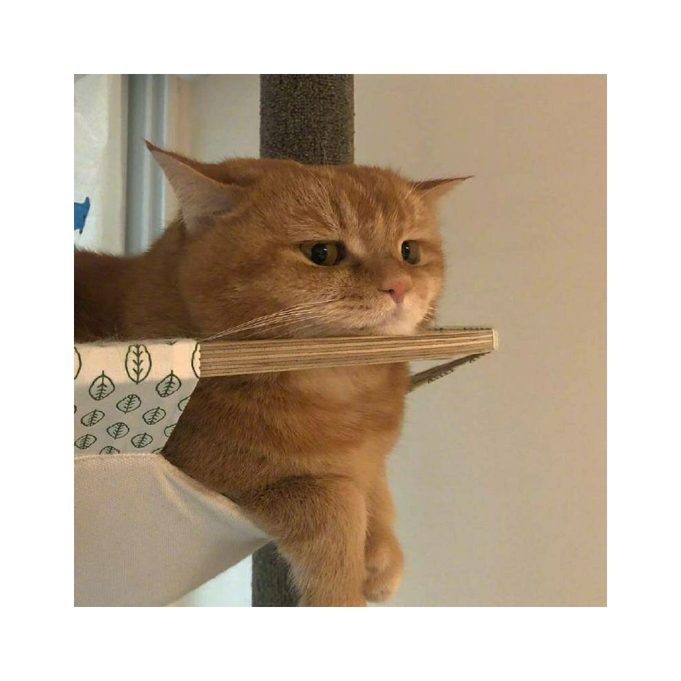 嗯
