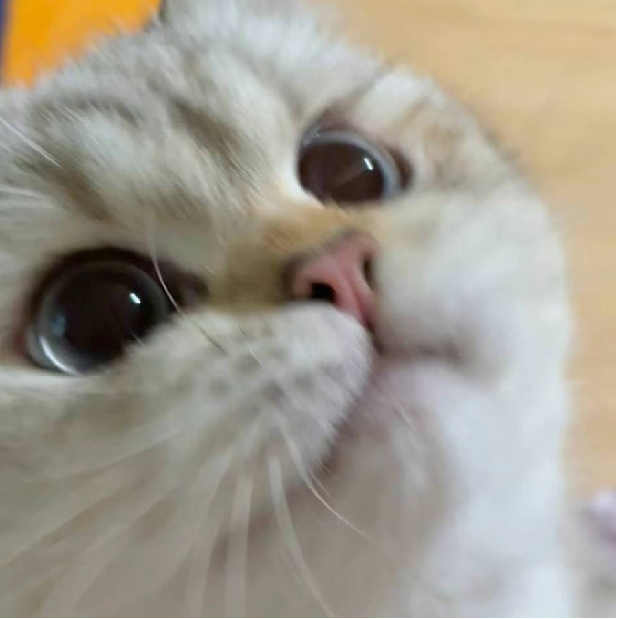 bbbb