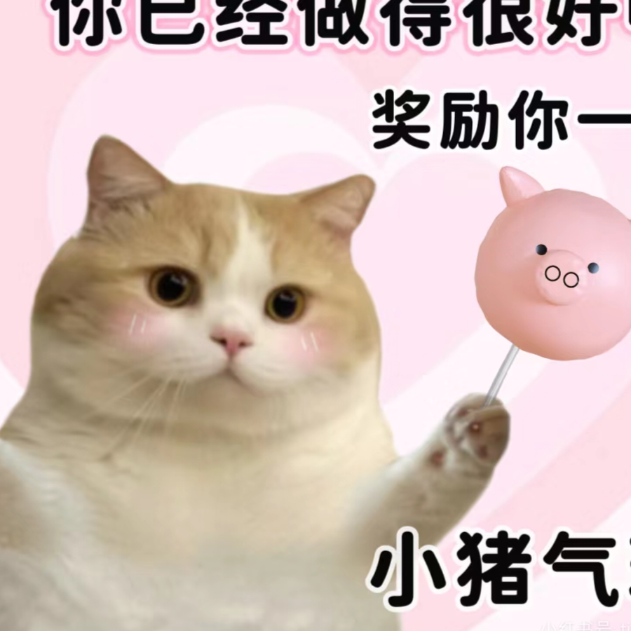 猫小柚