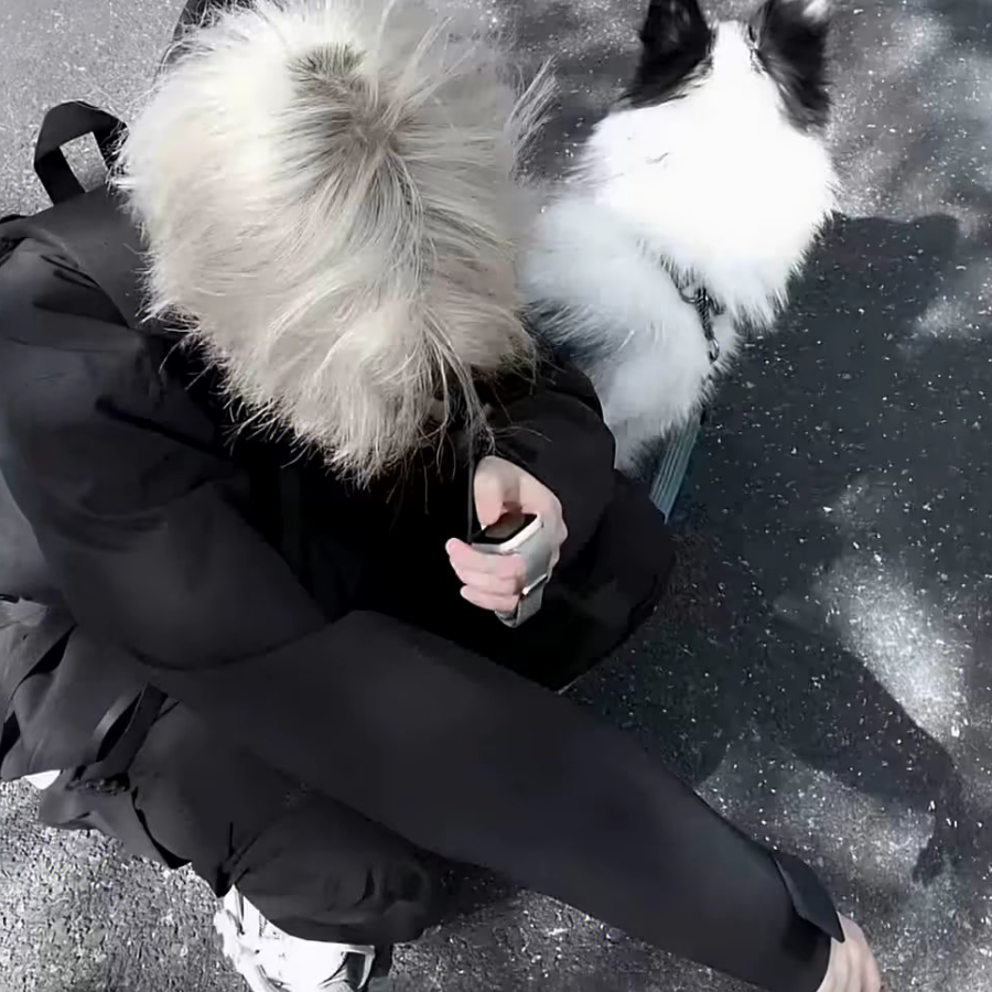 戒情戒受