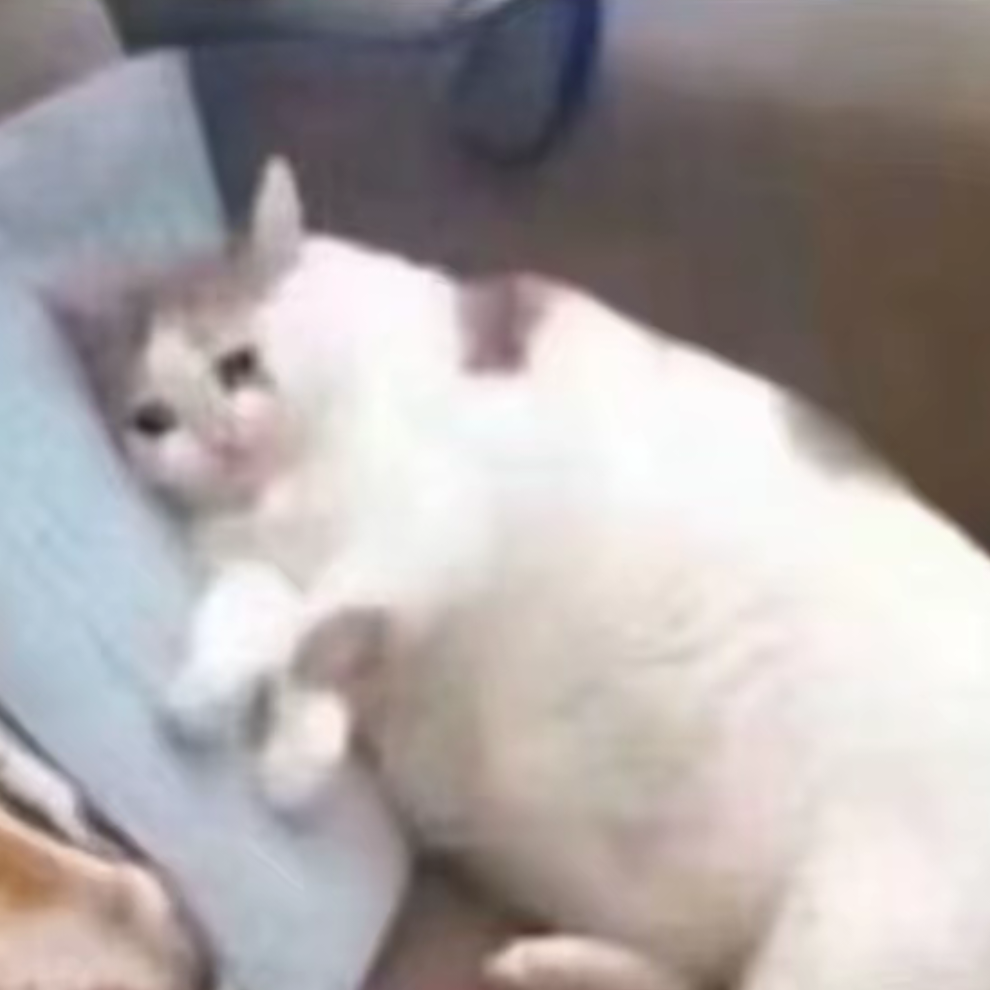 暮雨益冷