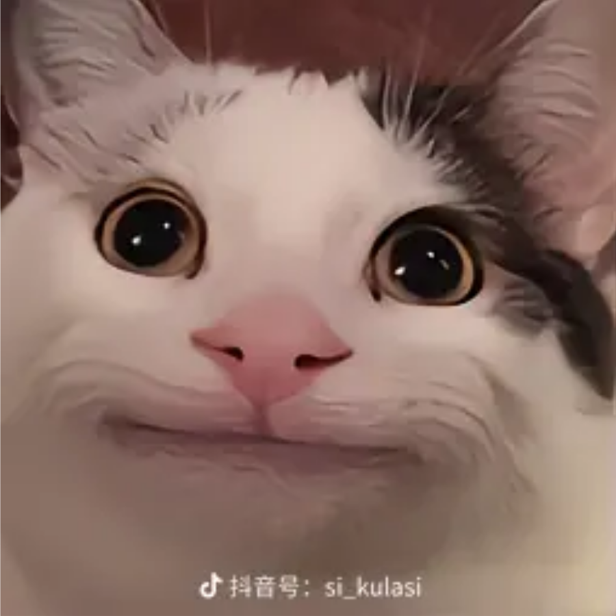 一只诡计多端的小猫