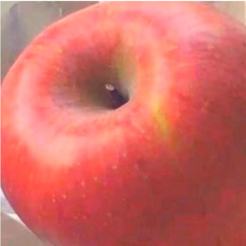 给你一个大比窦