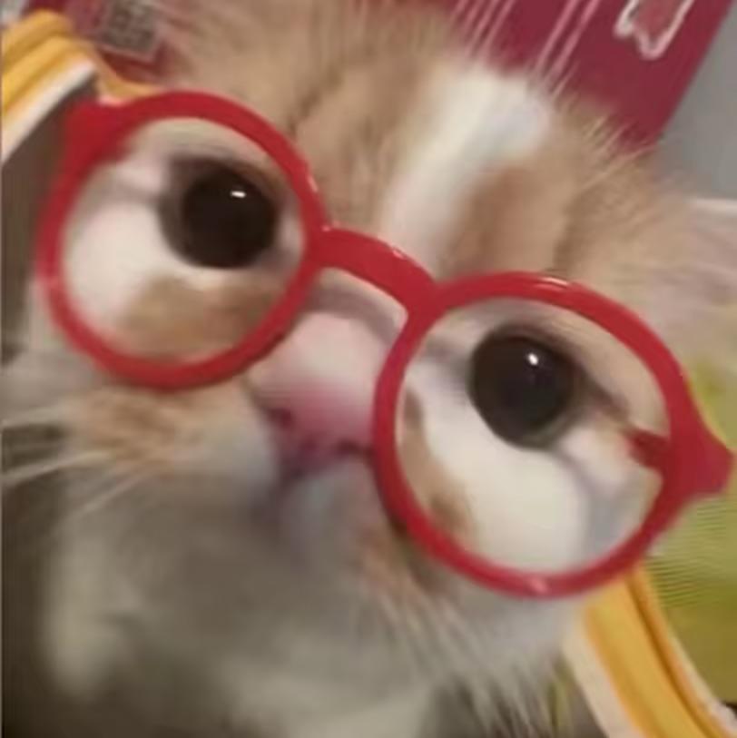 铁塔喵🐱💤
