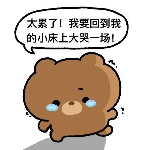 豆豆