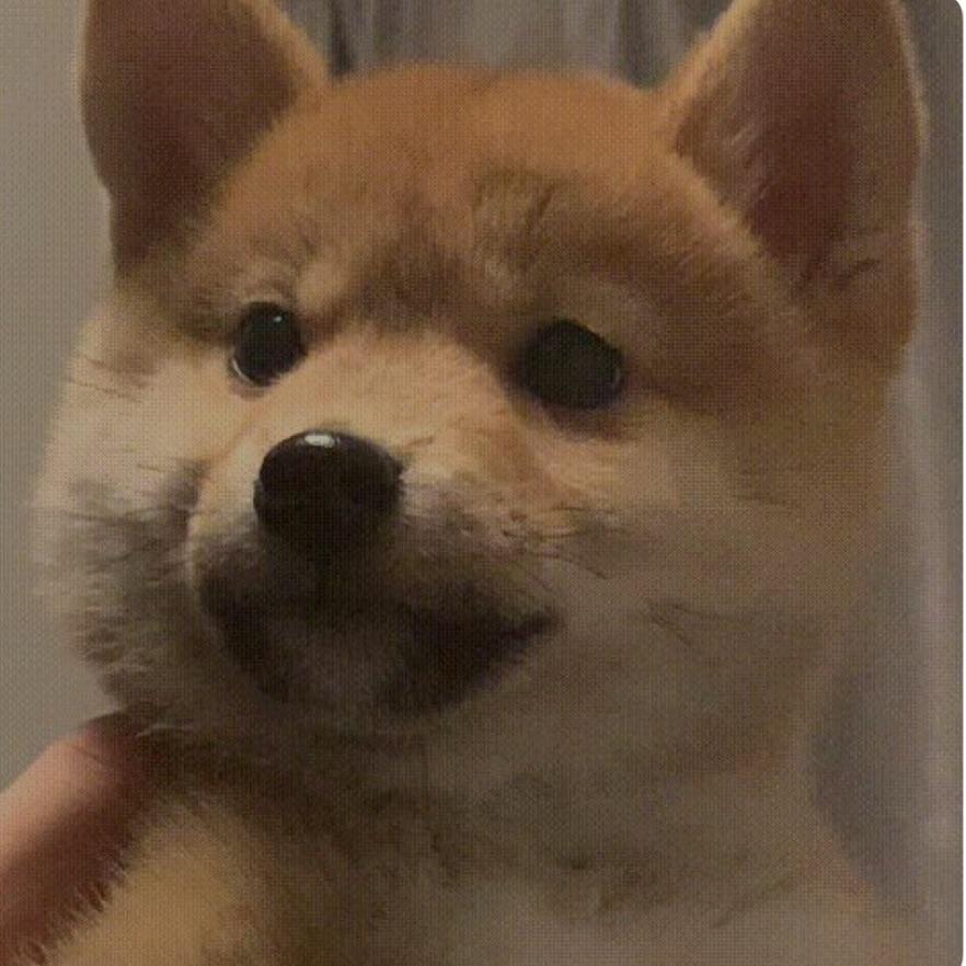 逸