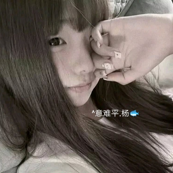 ^意难平.杨🐟