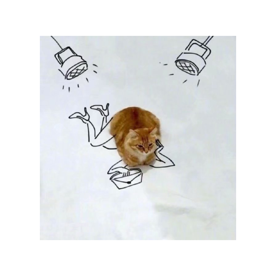 胖棋