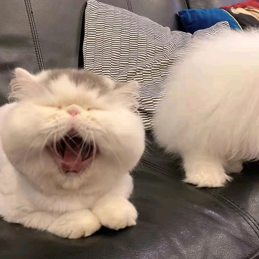泽
