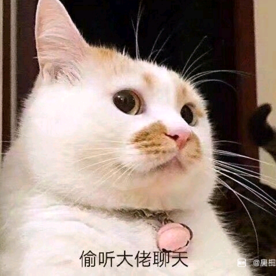 橘子味的猫