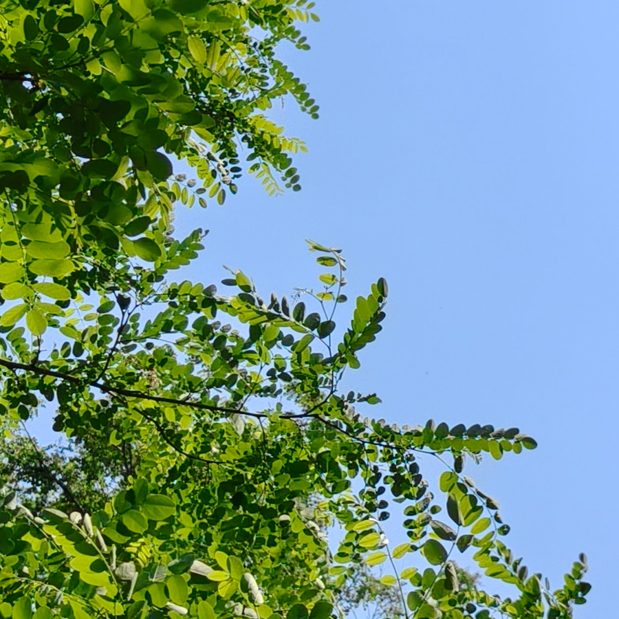 伟伟