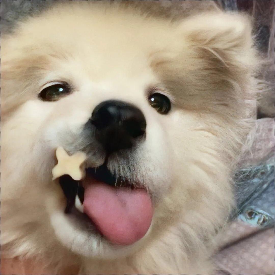 竹淮