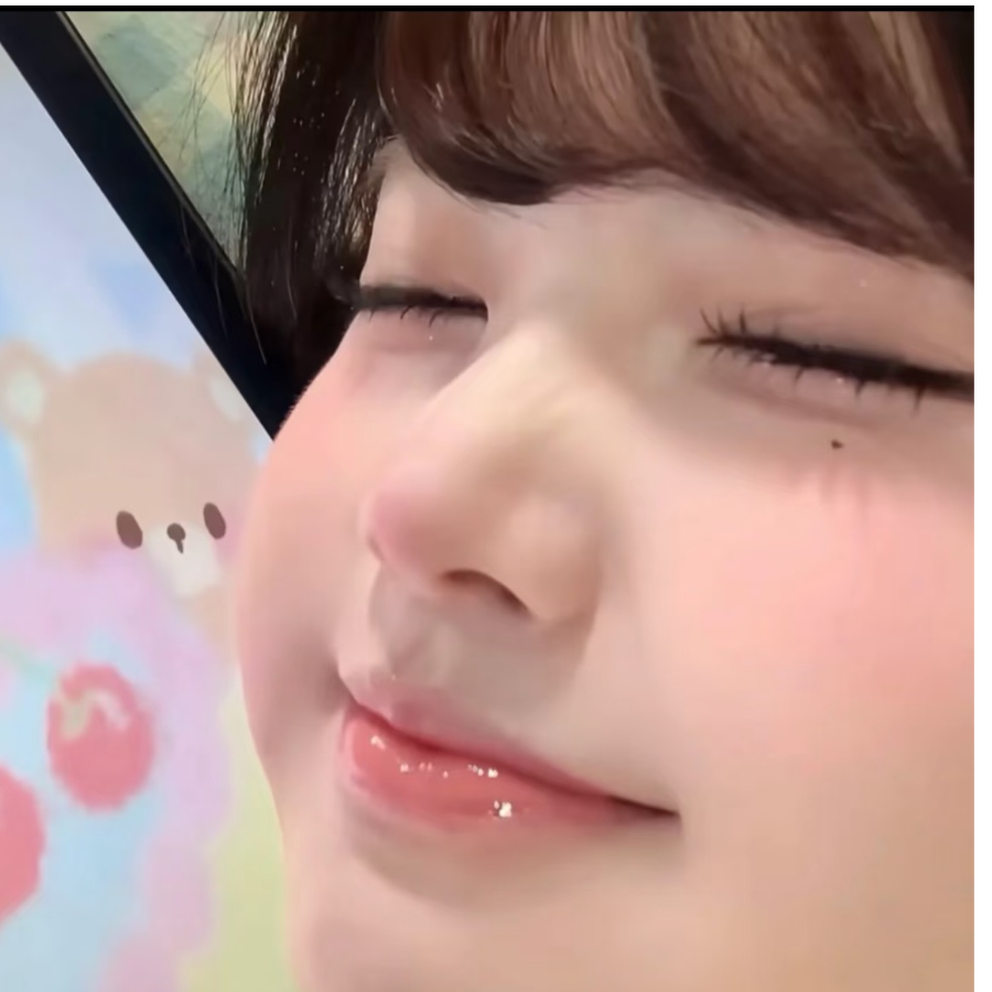 一只萌宝