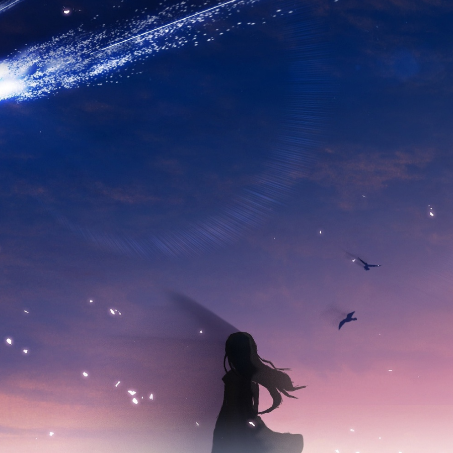 南冰星念