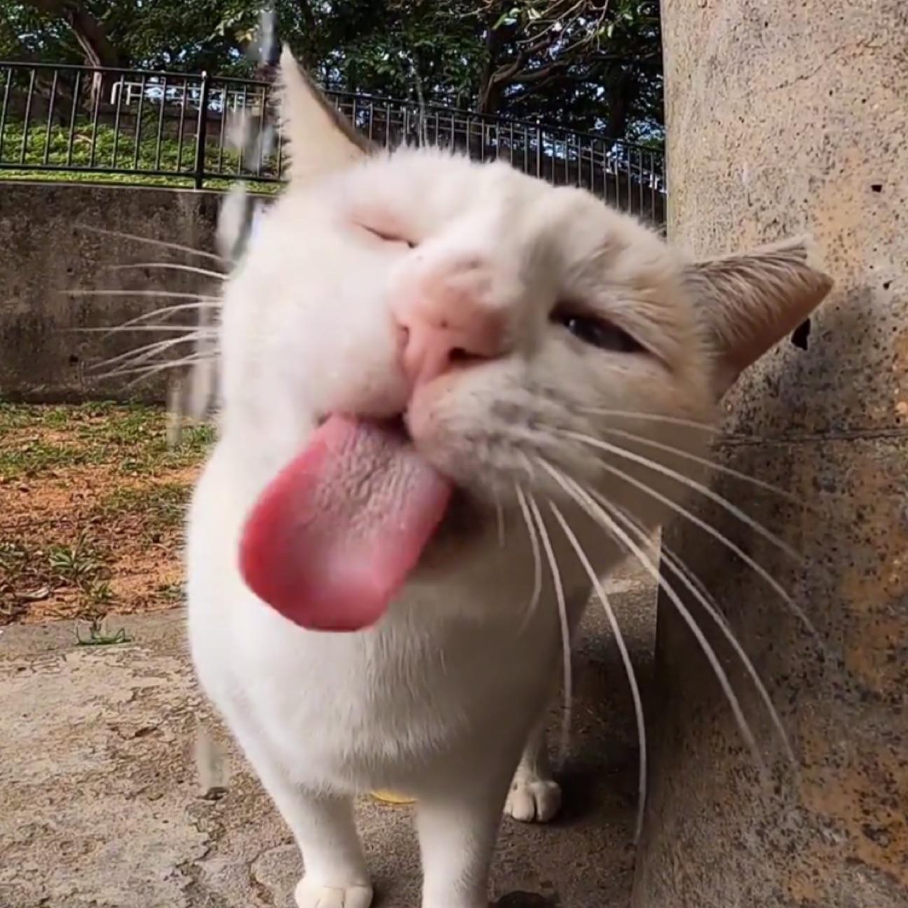 YM丶
