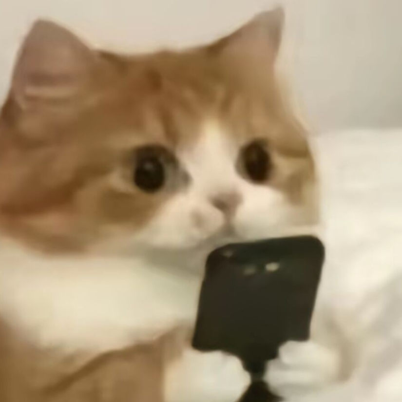 你给路打油owo