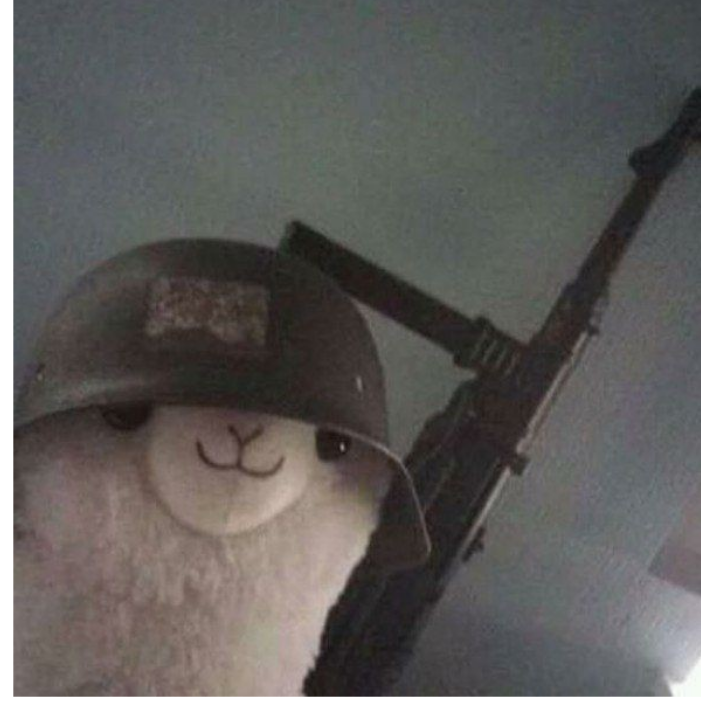 尘玖