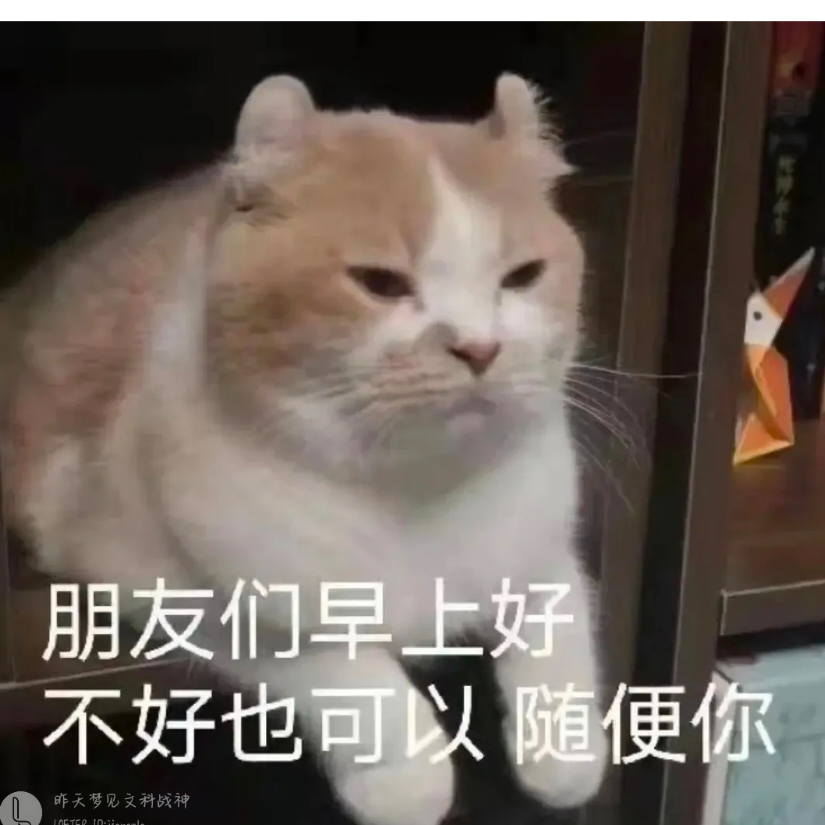 四十九Future