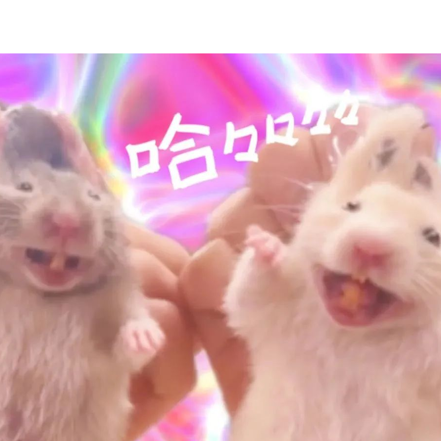 樂梓仁