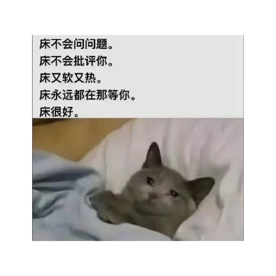 神明大人