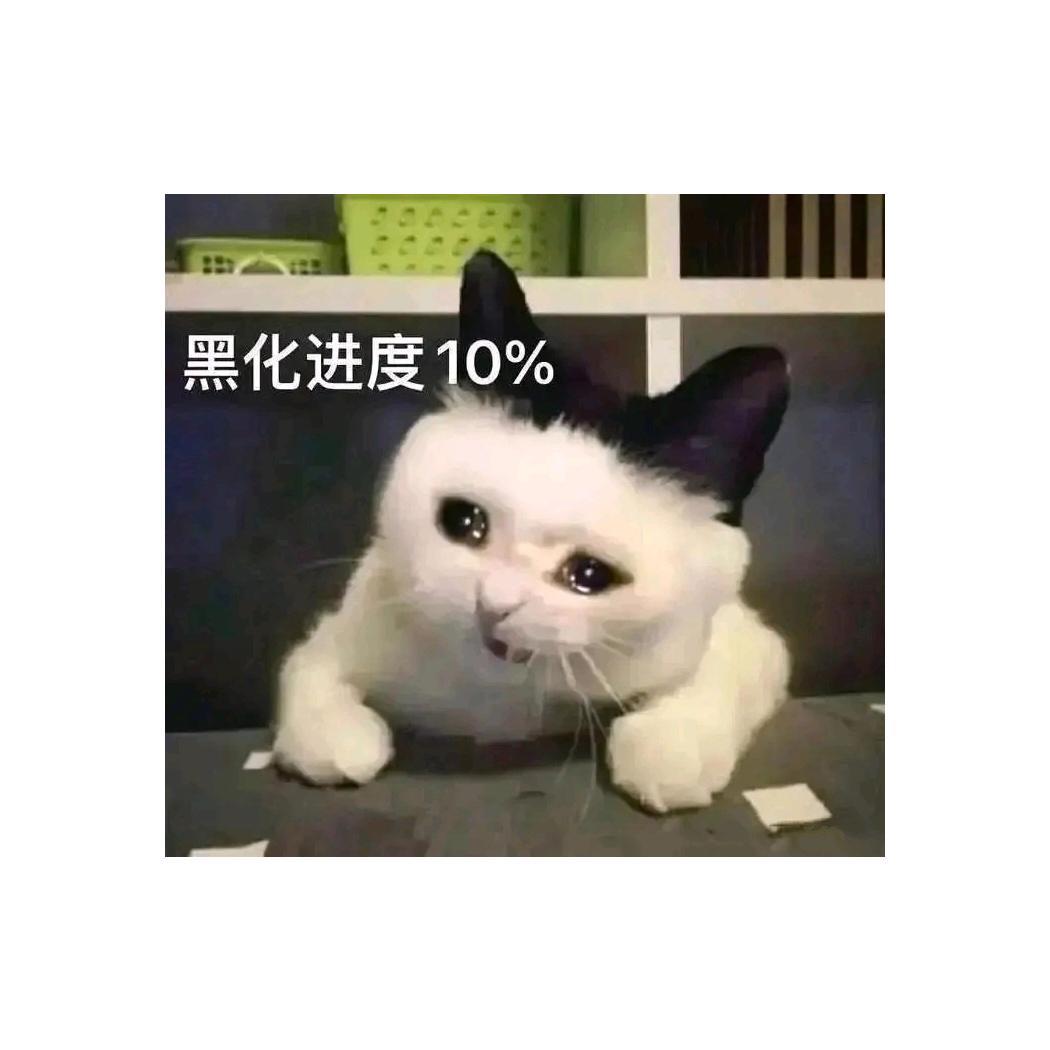 太阳年历片头