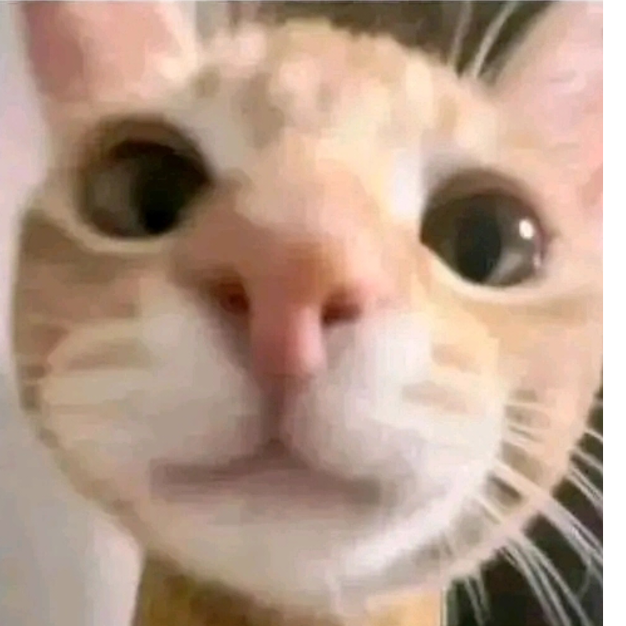 hhhh